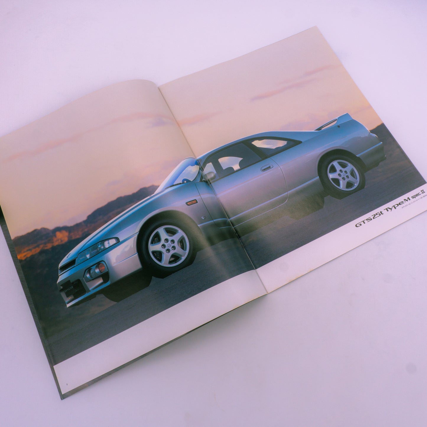 Skyline 2D Catalog 1996.2