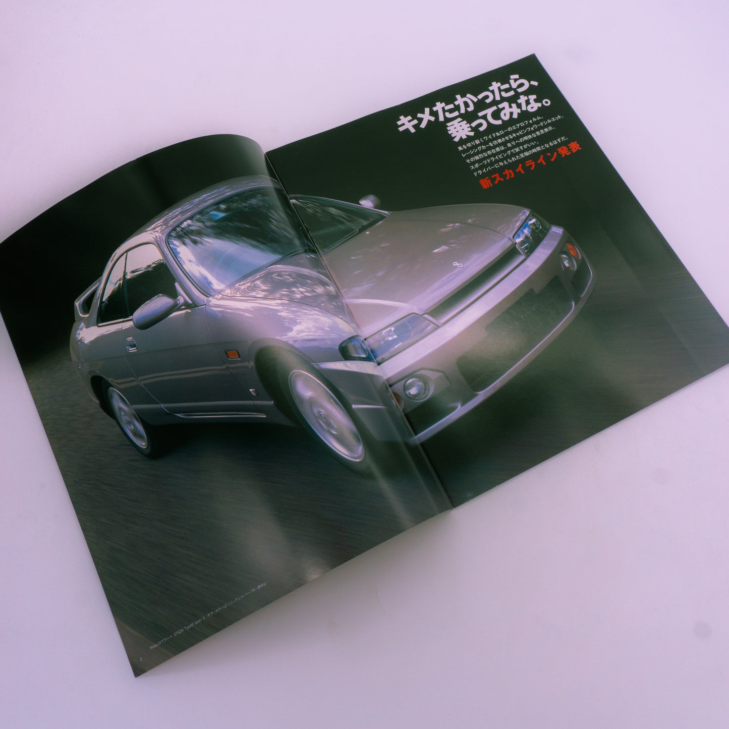 Skyline 2D Catalog 1996.3